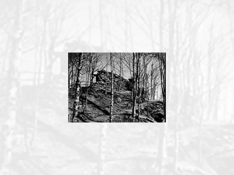 schloessli-niederurnen-geschichte-02 schloessli-niederurnen-geschichte-02